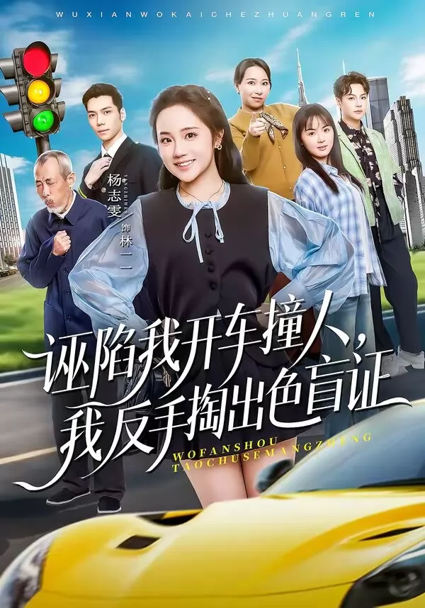 诬陷我开车撞人，我反手掏出色盲证