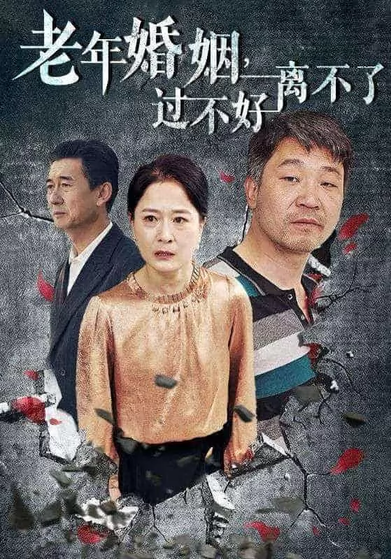 老年婚姻过不好离不了